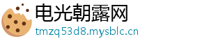电光朝露网